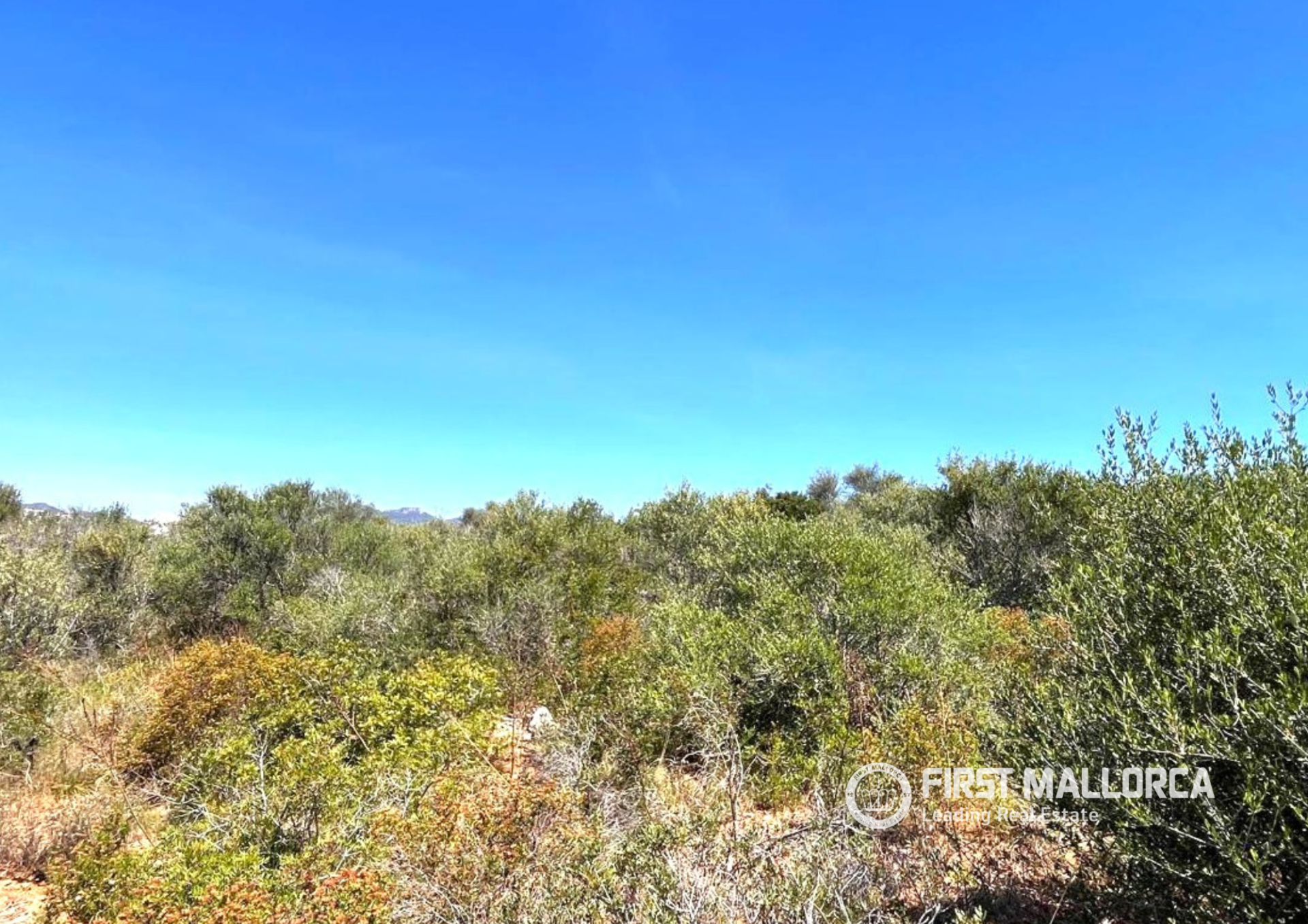 Land plot in Mallorca, Spain 1005 sq.m. No. 168145
