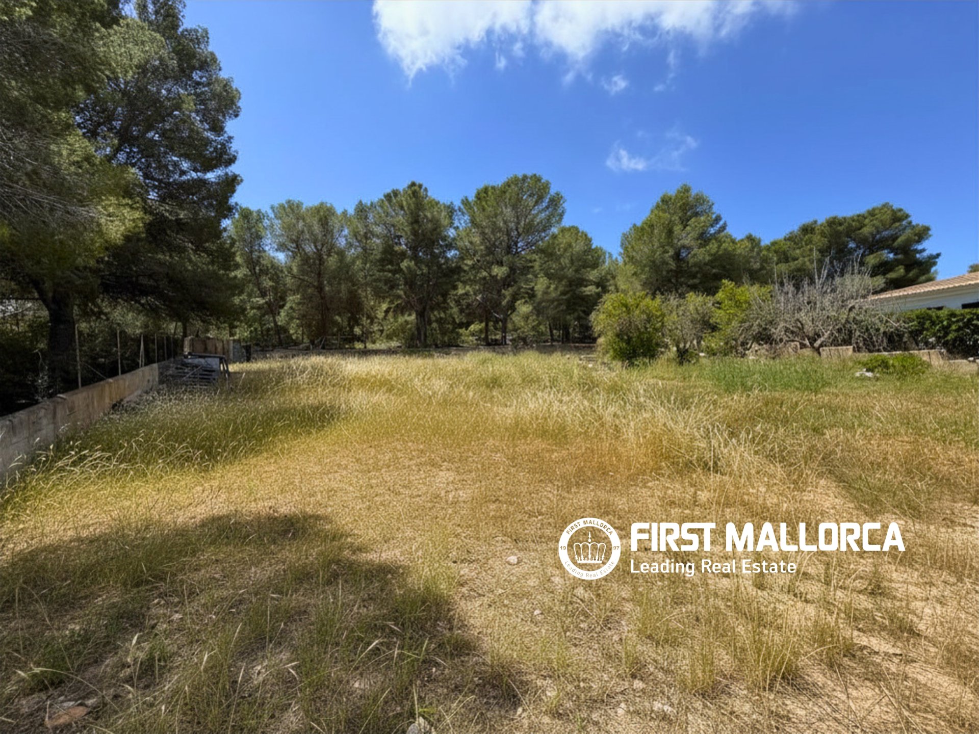 Parcela en Santa Ponsa, Mallorca, España 1144 m2 No. 168143