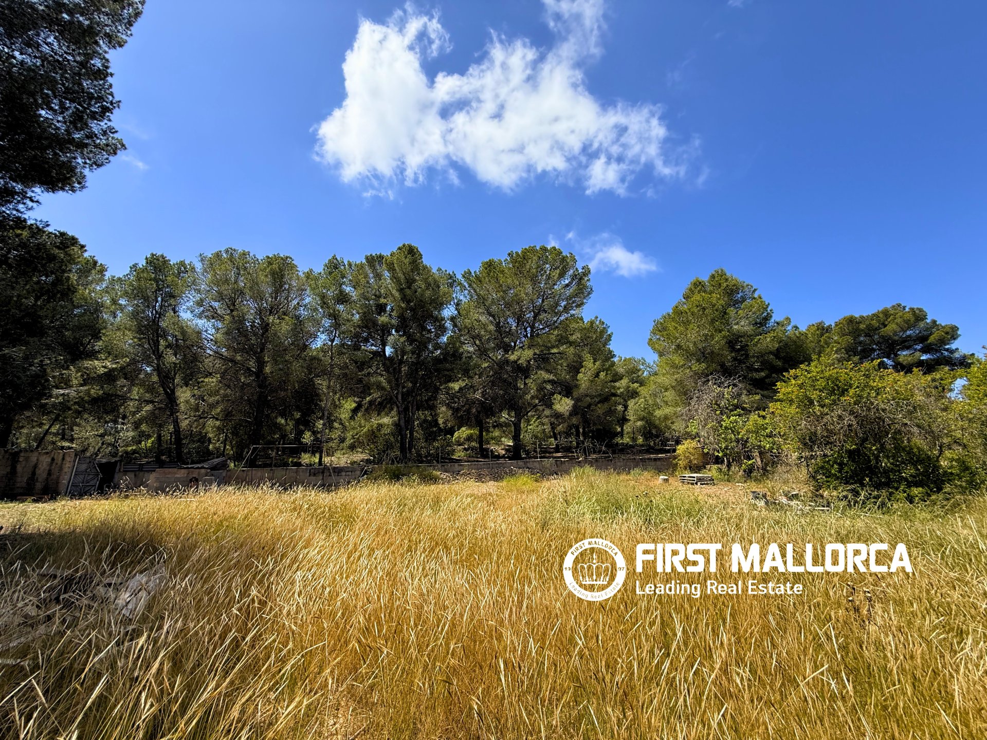 Parcela en Santa Ponsa, Mallorca, España 1144 m2 No. 168143