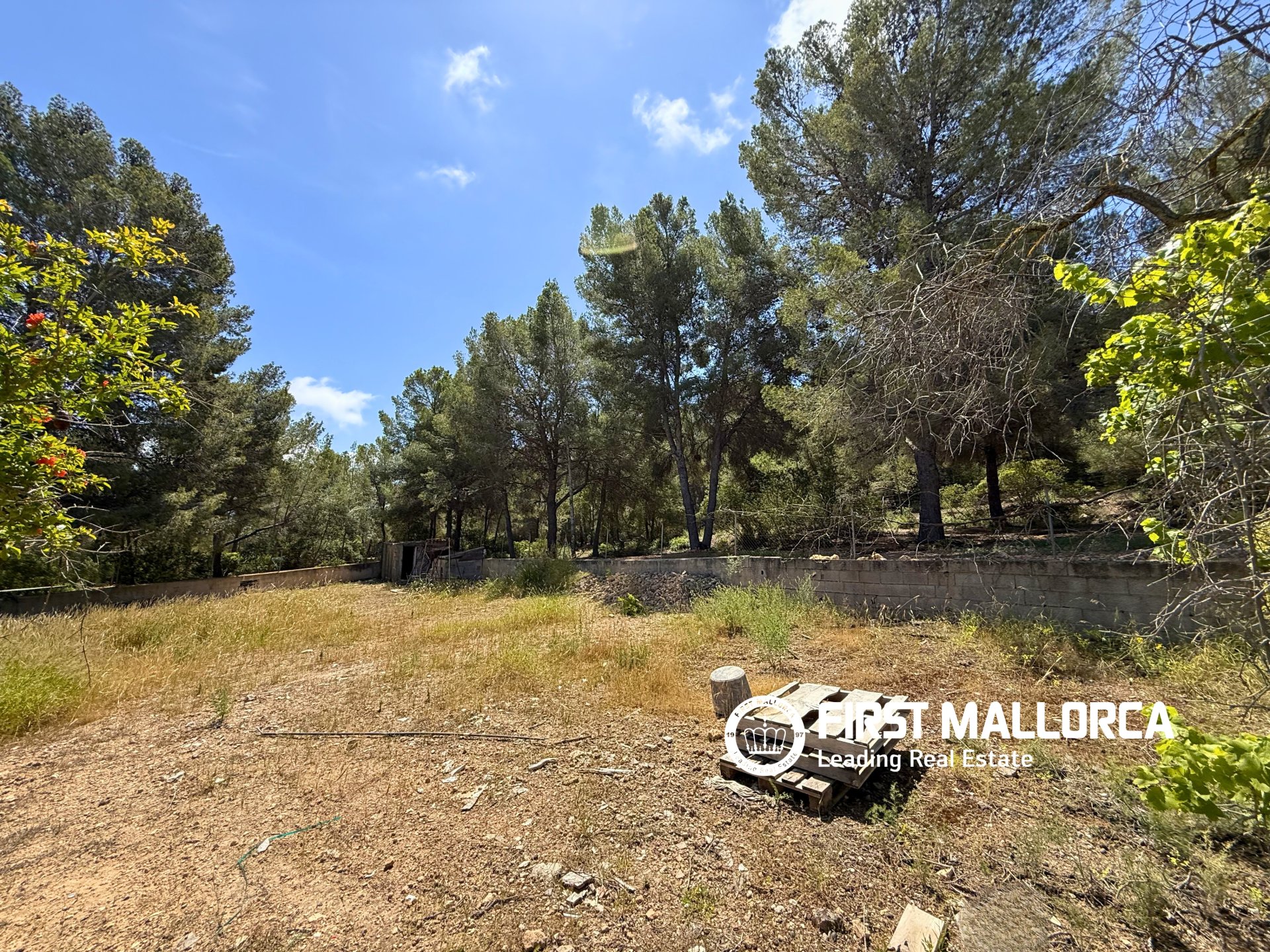 Parcela en Santa Ponsa, Mallorca, España 1144 m2 No. 168143