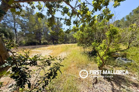 Land plot in Santa Ponsa, Mallorca, Spain 1144 sq.m. No. 168143