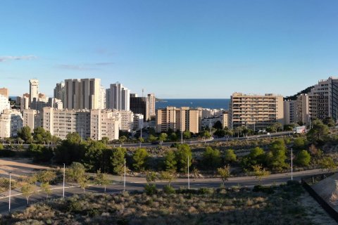 Apartment in Benidorm, Alicante, Spain 2 bedrooms, 67 sq.m. No. 189572