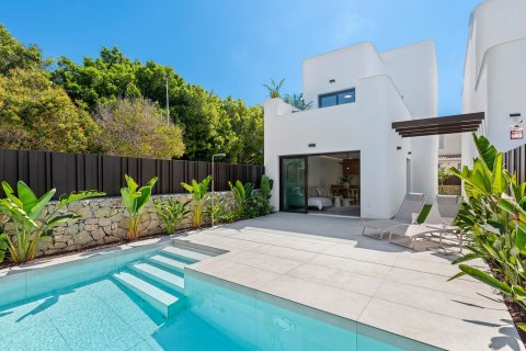 Villa à Pilar de la Horadada, Alicante, Espagne 3 chambres, 132 m2 No. 76939
