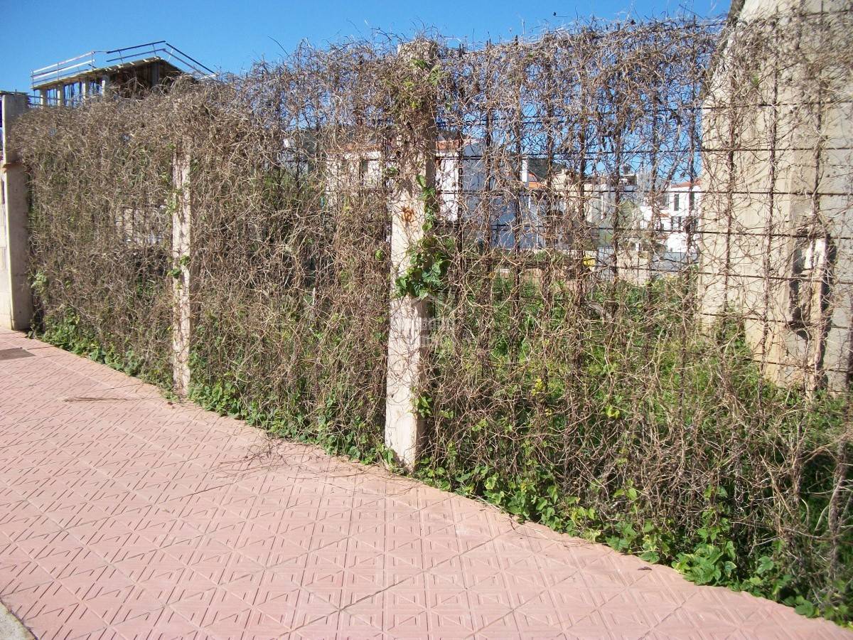 Land plot in Ferreries, Menorca, Spain No. 183189