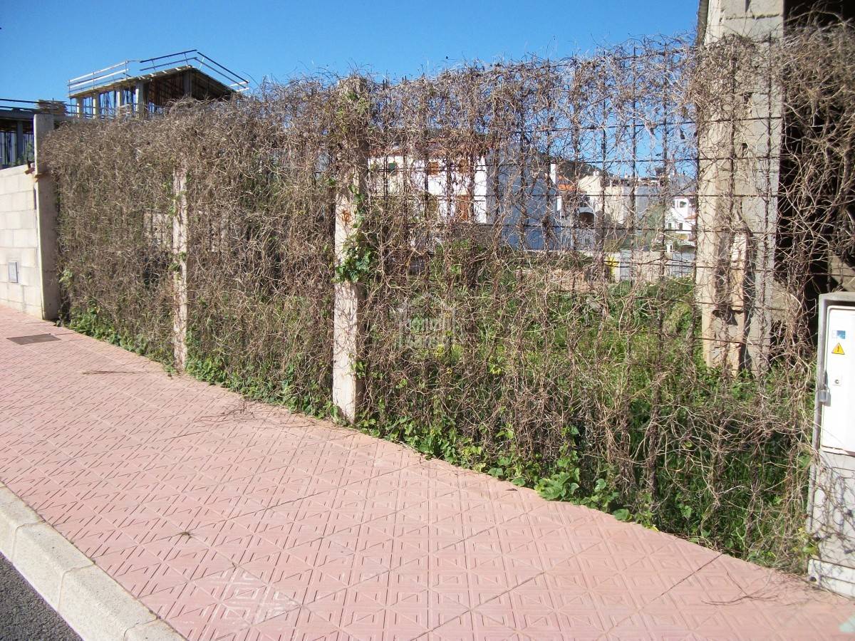Land plot in Ferreries, Menorca, Spain No. 183189