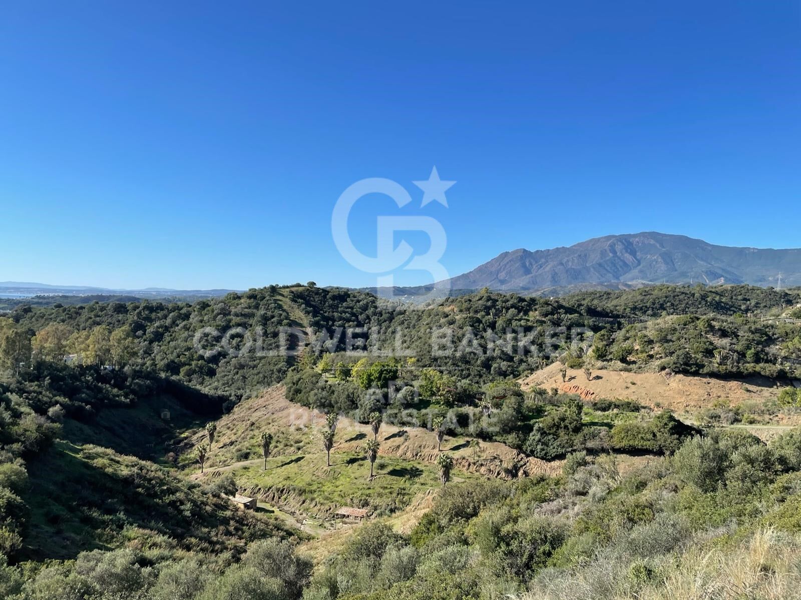 Land plot in Estepona, Malaga, Spain 475 sq.m. No. 158995