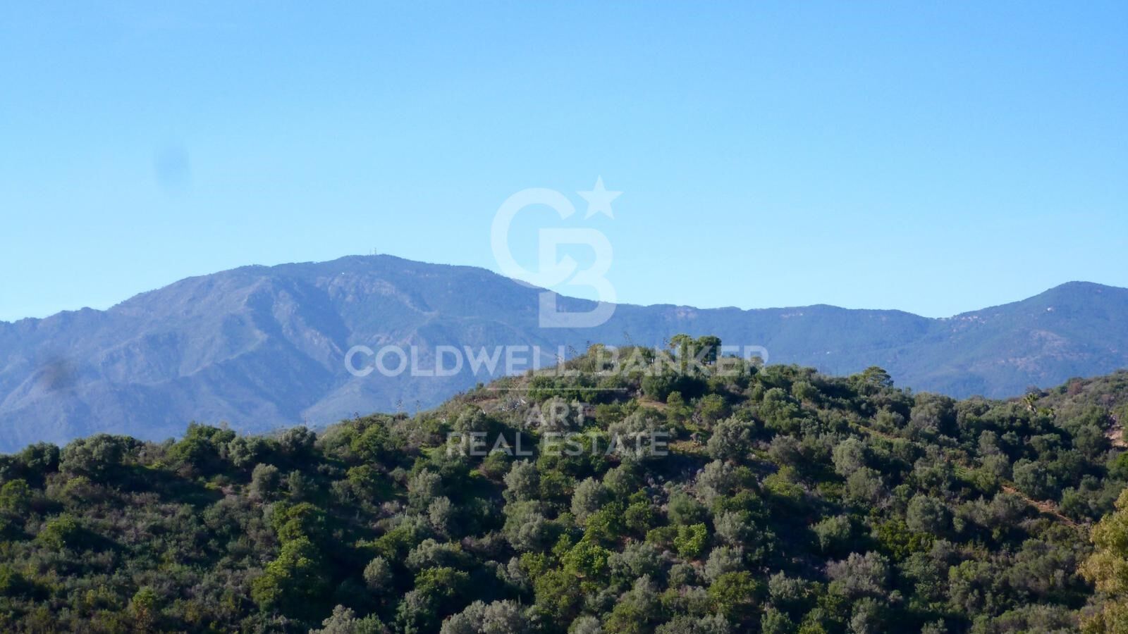 Land plot in Estepona, Malaga, Spain 475 sq.m. No. 158994