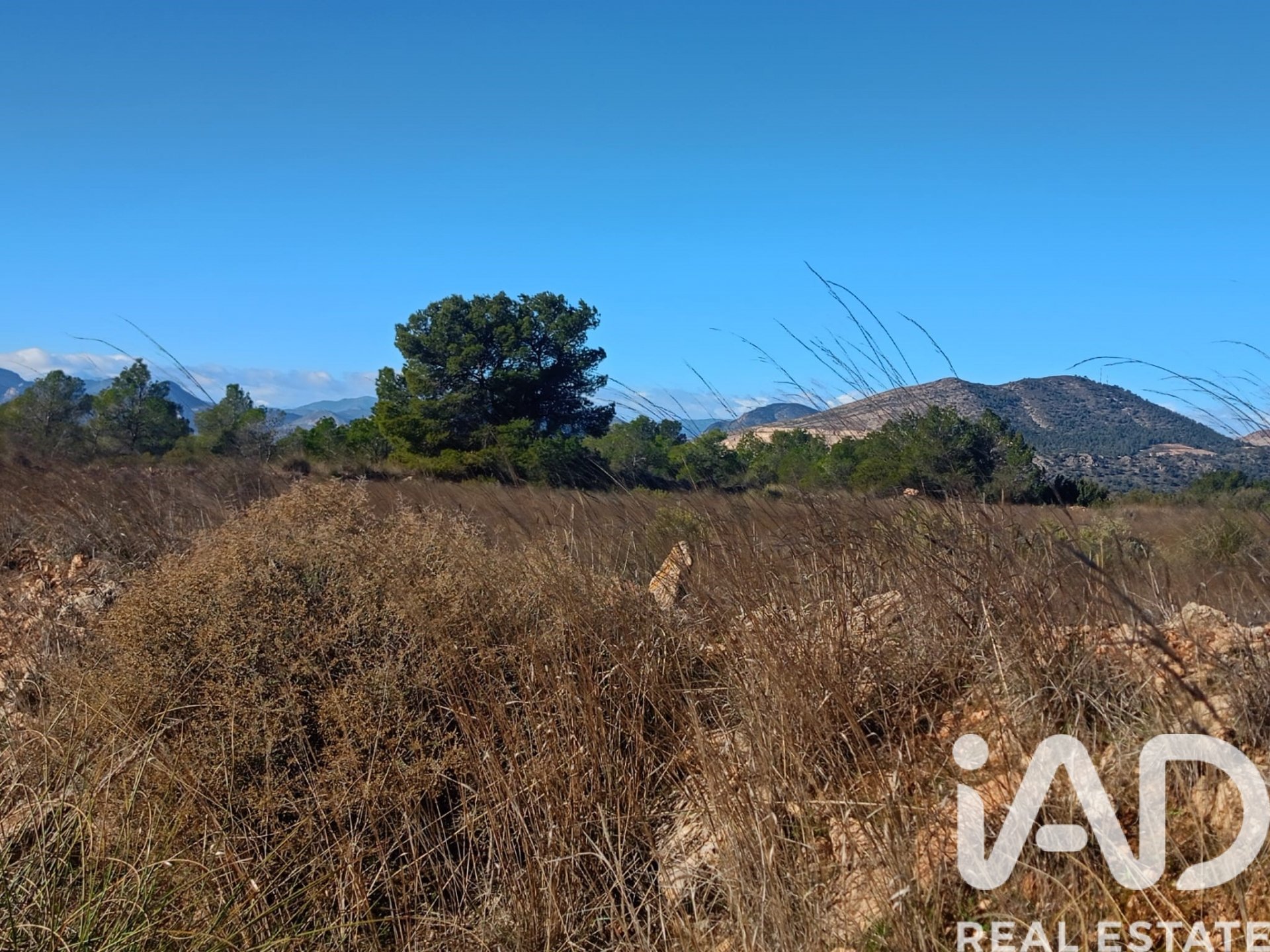 Land plot in Lorca, Murcia, Spain 11000 sq.m. No. 188453