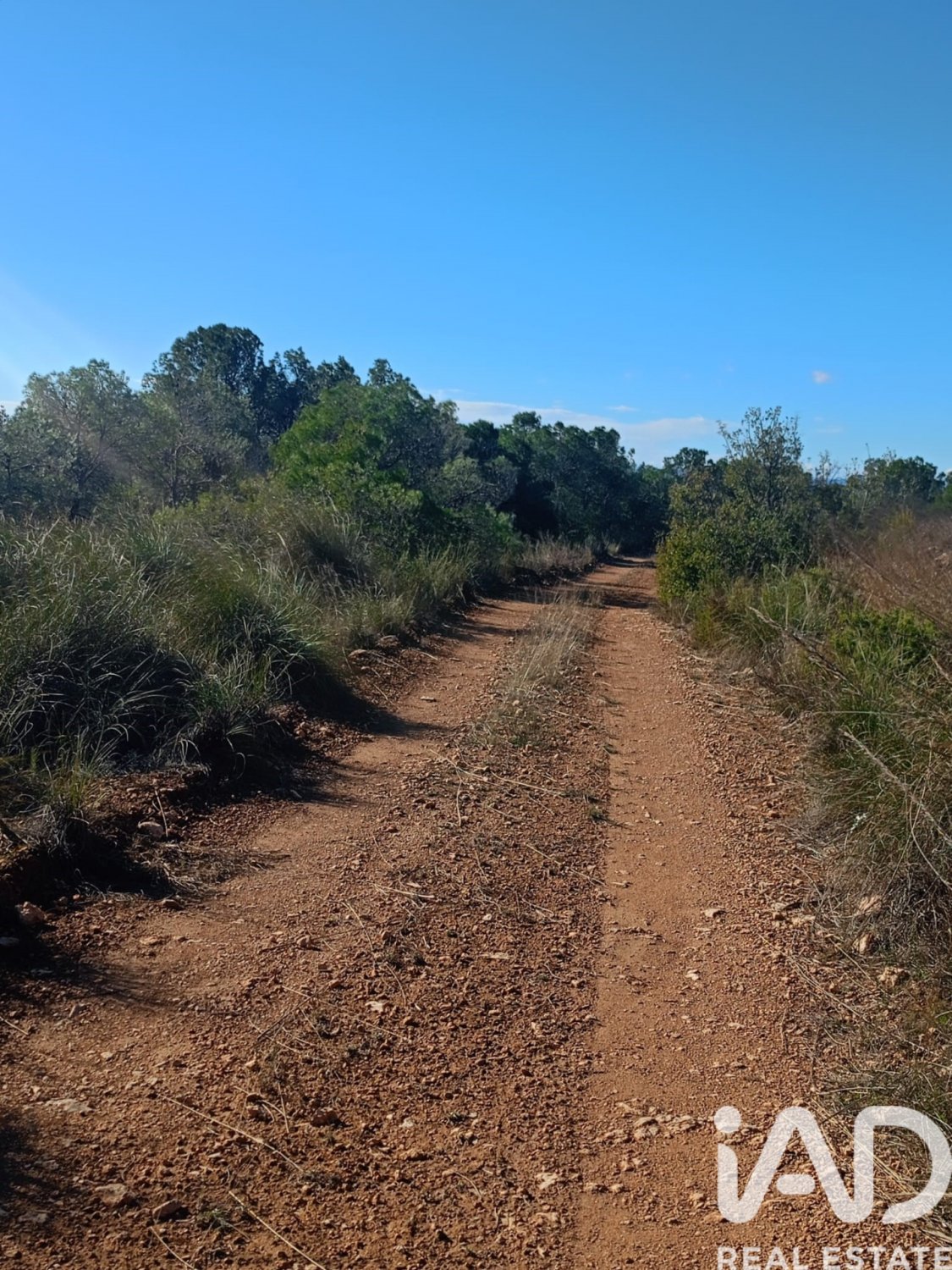 Land plot in Lorca, Murcia, Spain 11000 sq.m. No. 188453