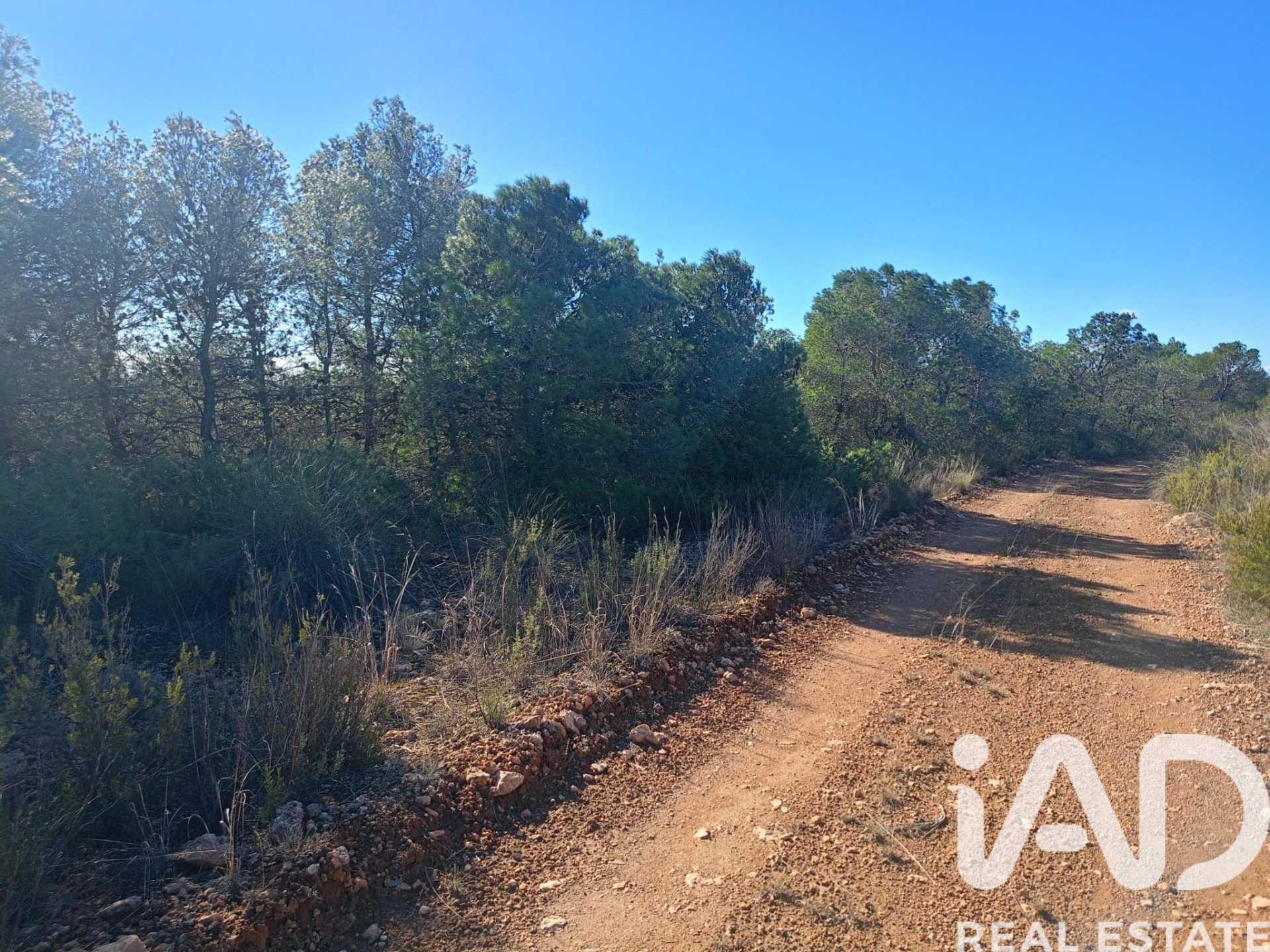 Land plot in Lorca, Murcia, Spain 11000 sq.m. No. 188453