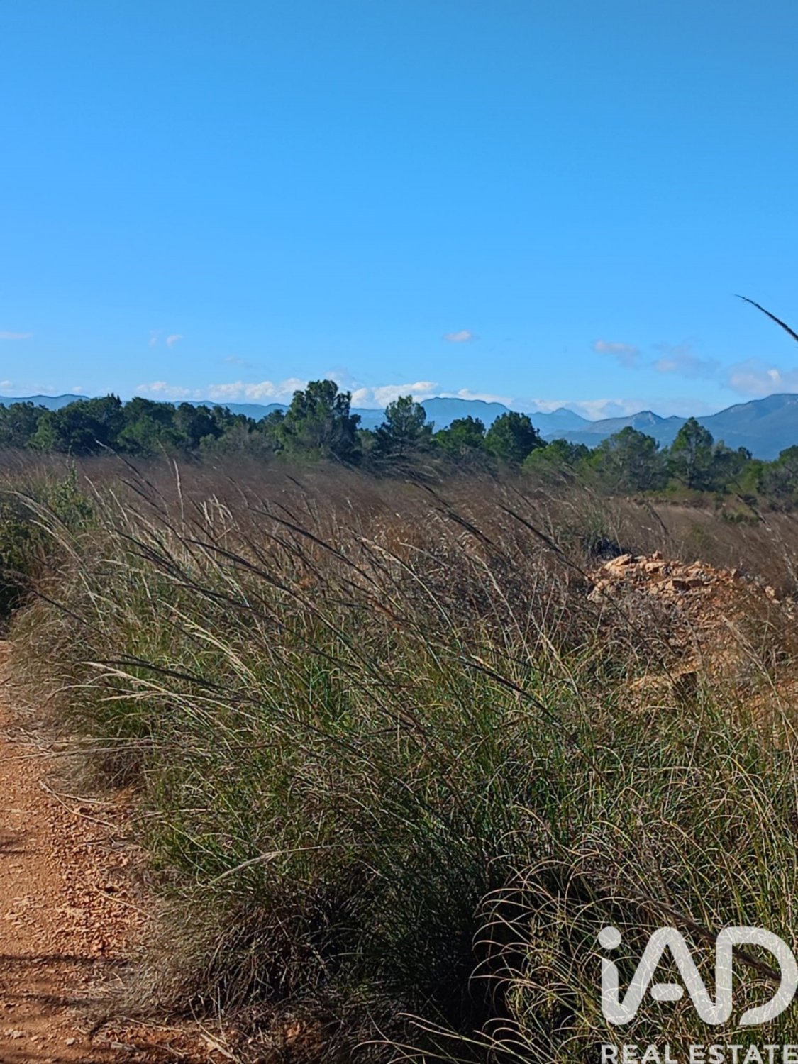 Land plot in Lorca, Murcia, Spain 11000 sq.m. No. 188453