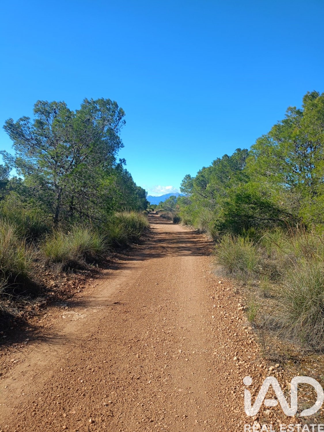 Land plot in Lorca, Murcia, Spain 11000 sq.m. No. 188453