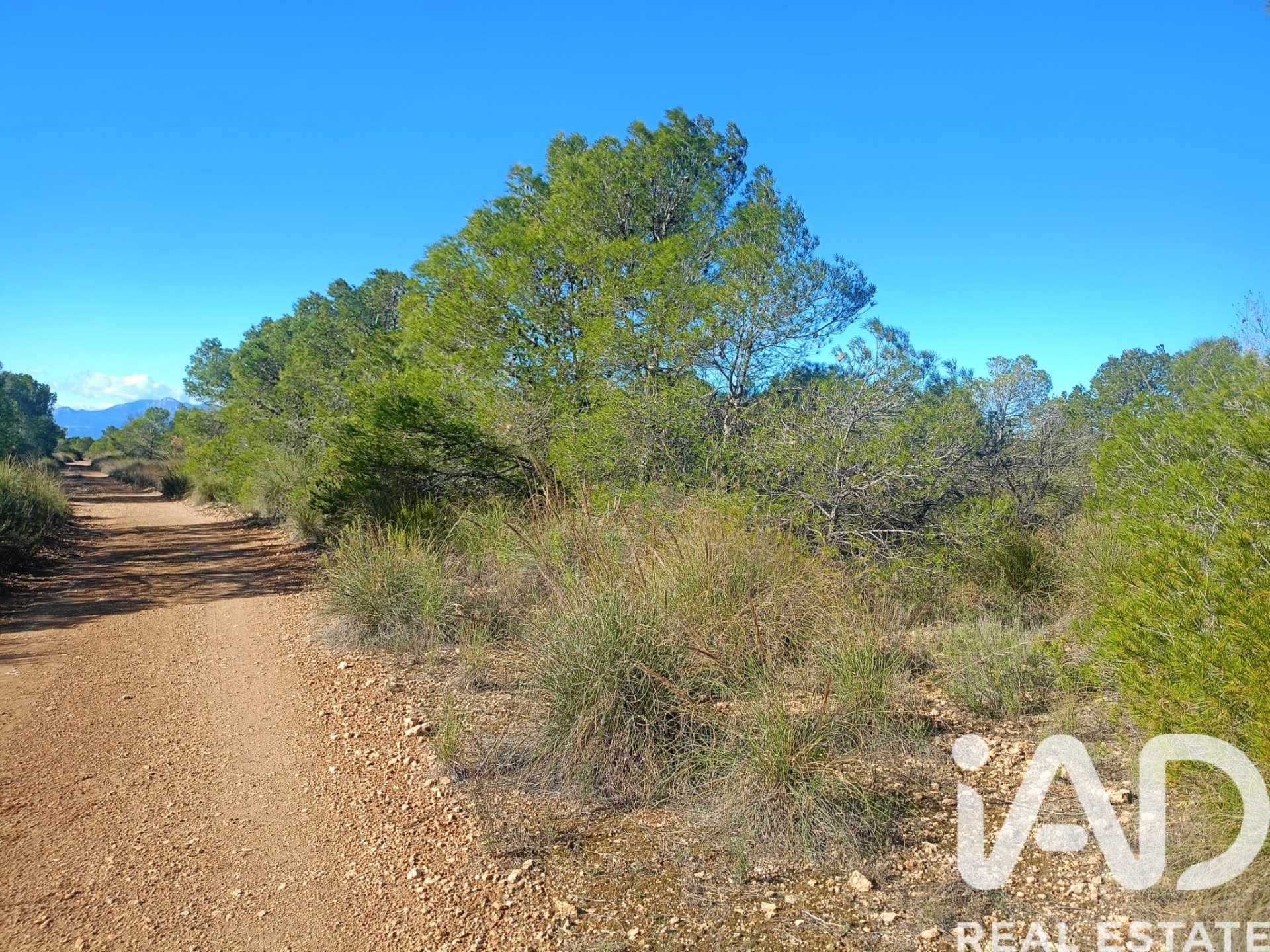 Land plot in Lorca, Murcia, Spain 11000 sq.m. No. 188453