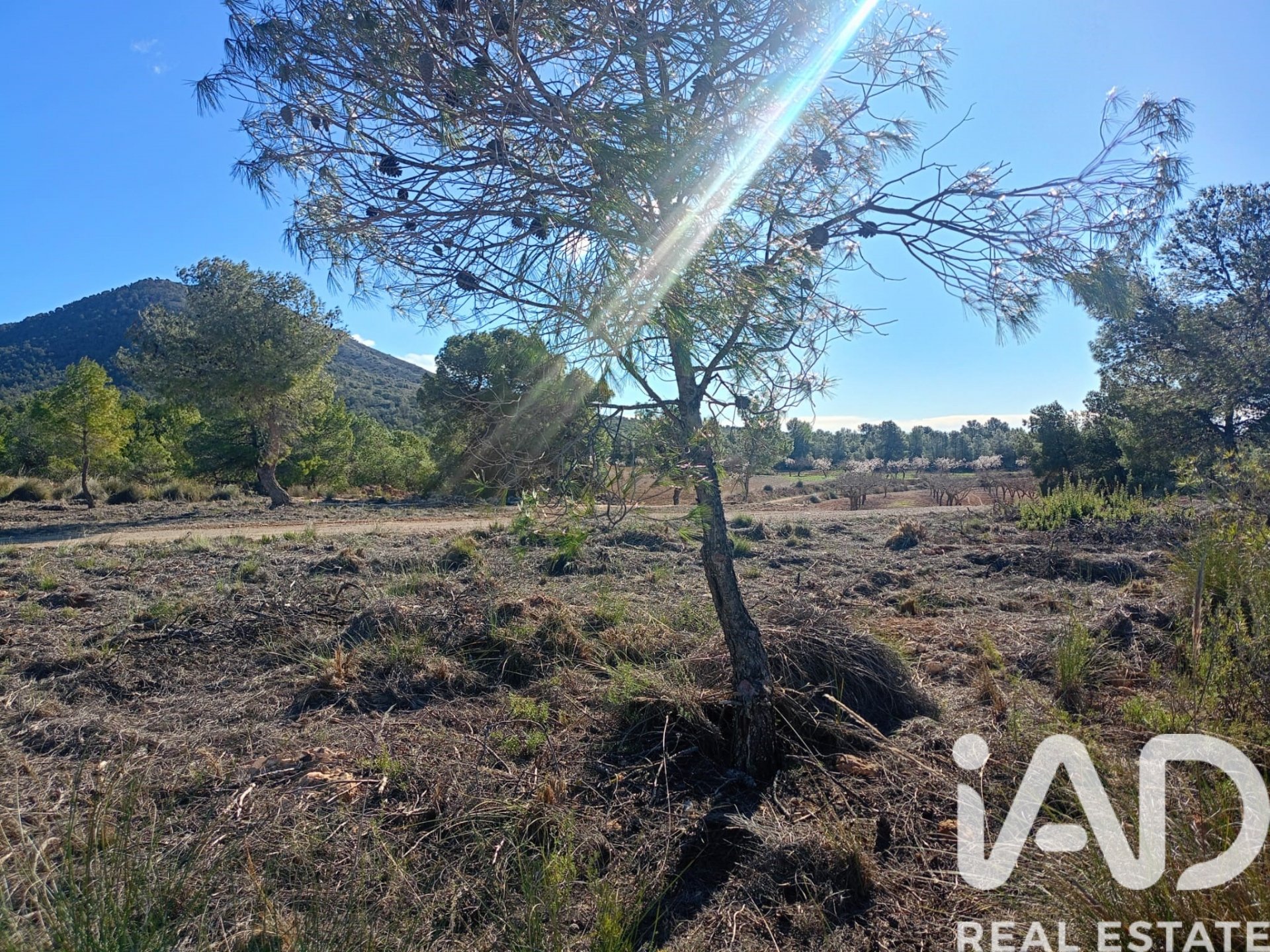 Land plot in Lorca, Murcia, Spain 11000 sq.m. No. 188453
