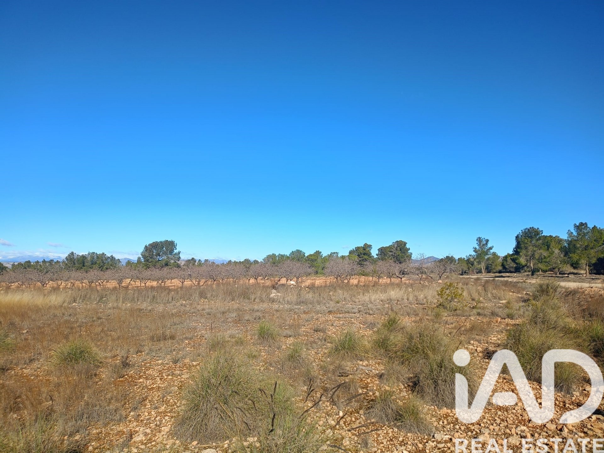 Land plot in Lorca, Murcia, Spain 11000 sq.m. No. 188453