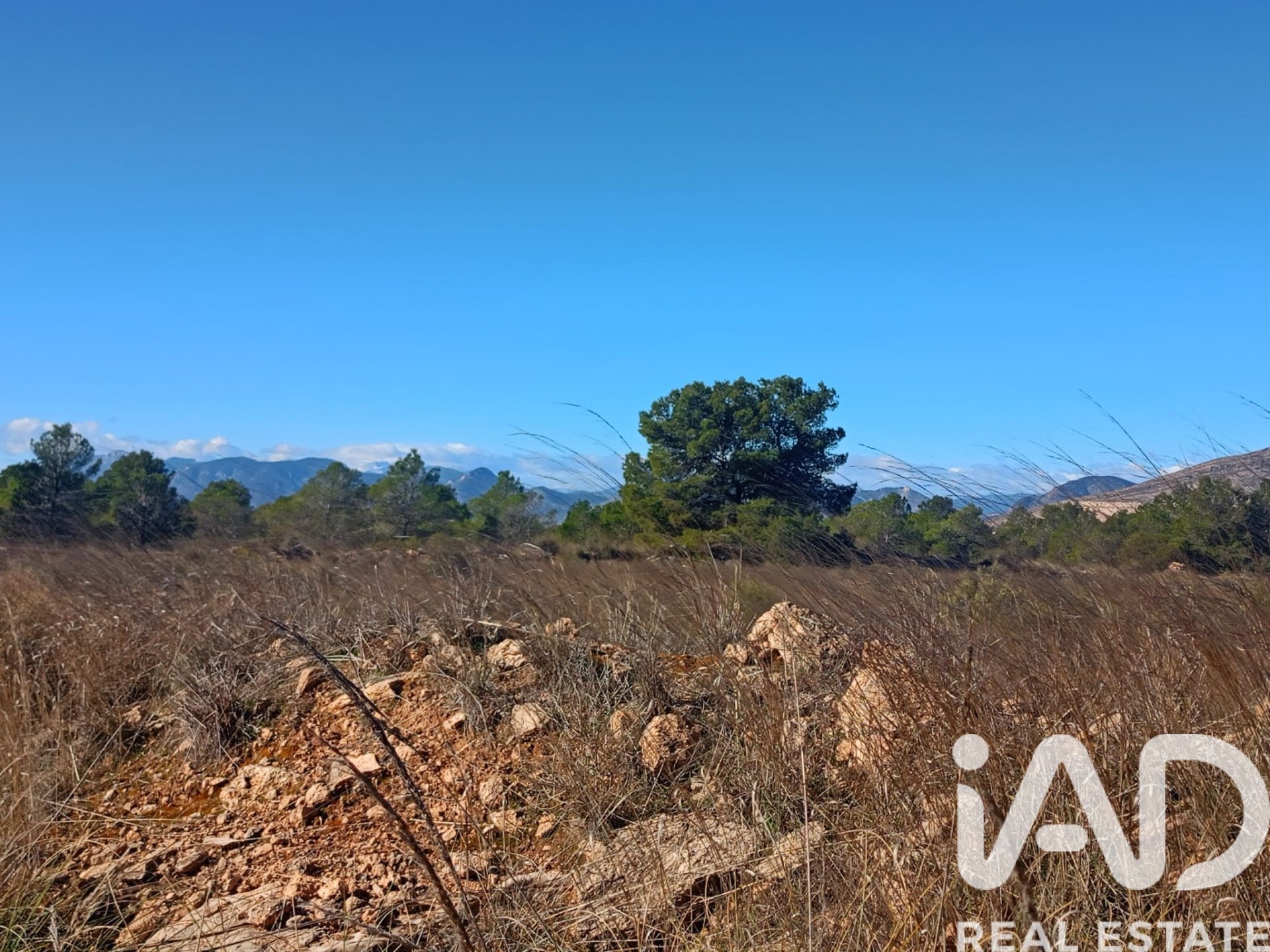 Land plot in Lorca, Murcia, Spain 11000 sq.m. No. 188453