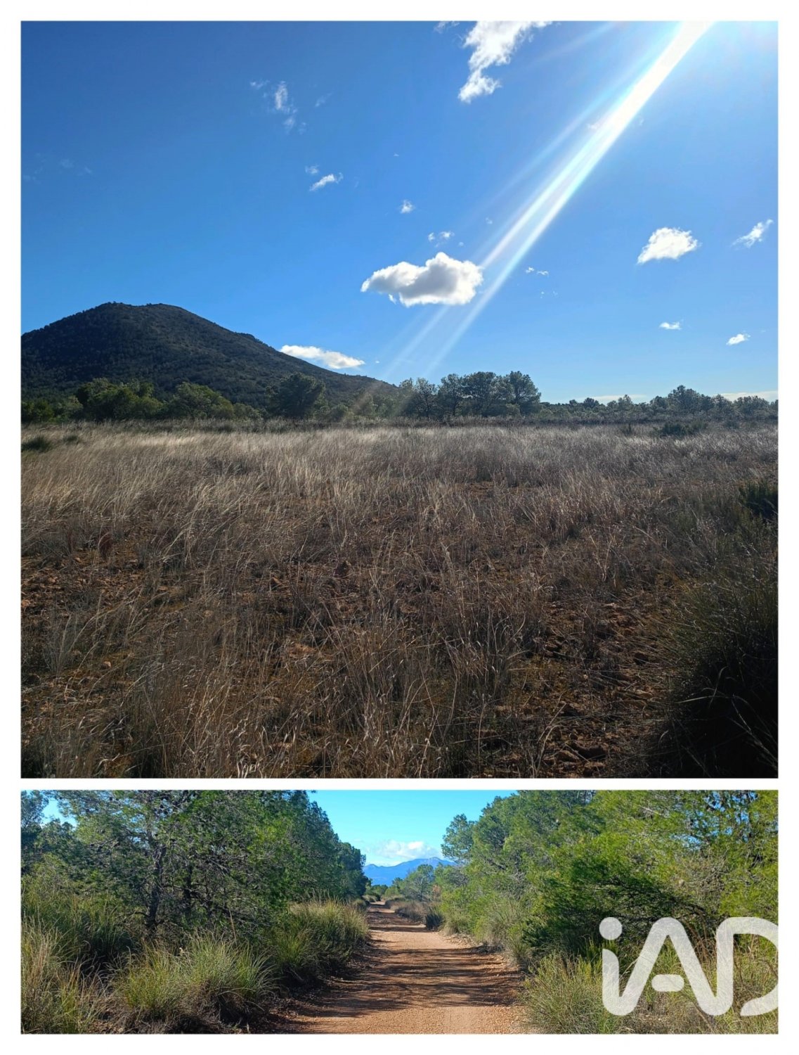 Land plot in Lorca, Murcia, Spain 11000 sq.m. No. 188453