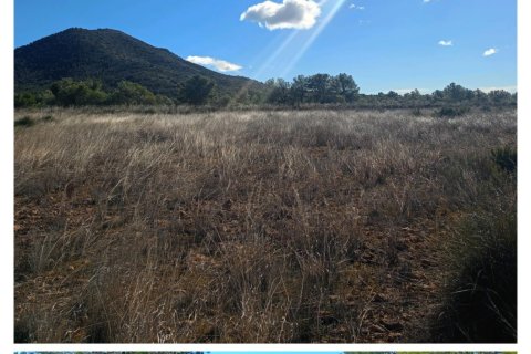 Land plot in Lorca, Murcia, Spain 11000 sq.m. No. 188453