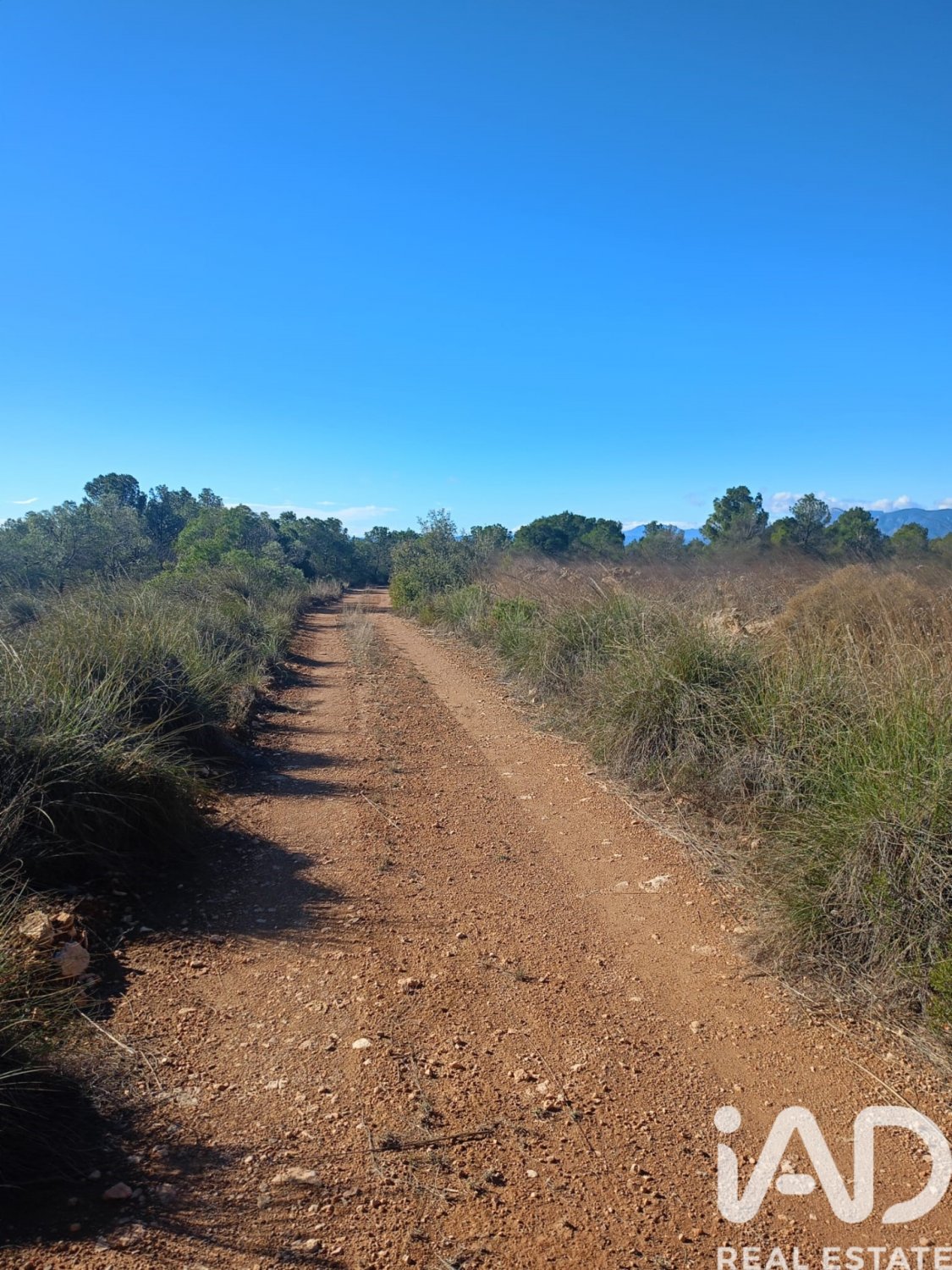 Land plot in Lorca, Murcia, Spain 11000 sq.m. No. 188453