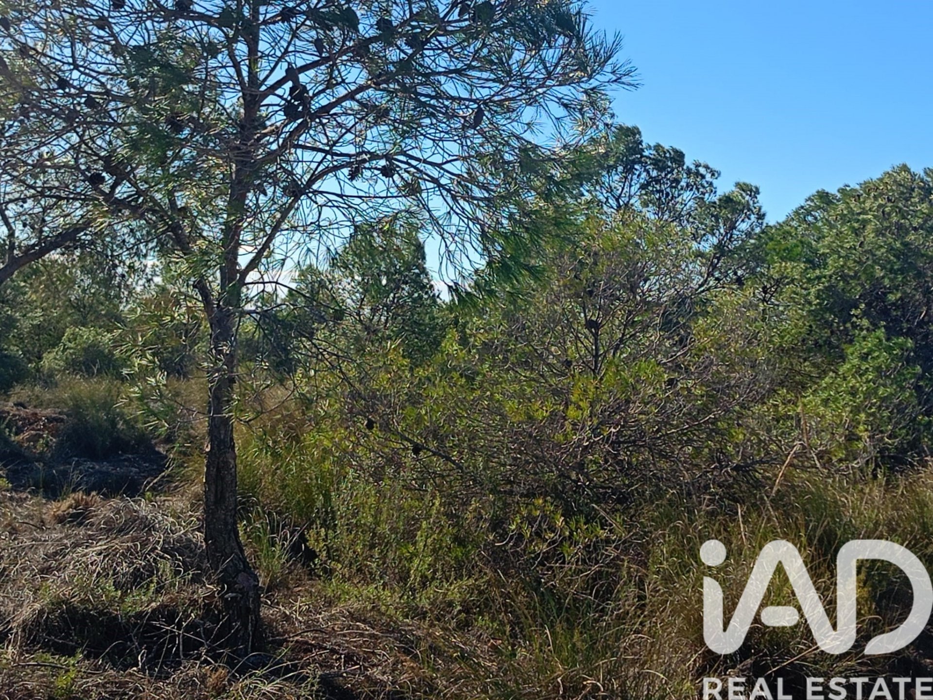 Land plot in Lorca, Murcia, Spain 11000 sq.m. No. 188453