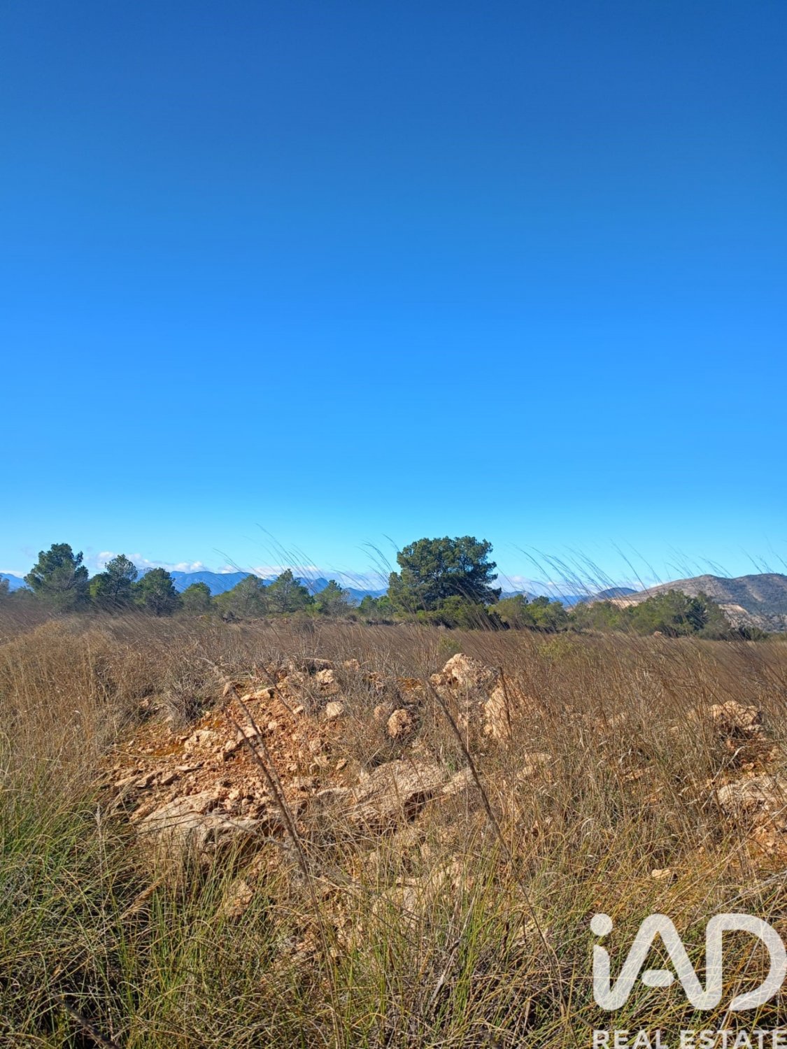 Land plot in Lorca, Murcia, Spain 11000 sq.m. No. 188453