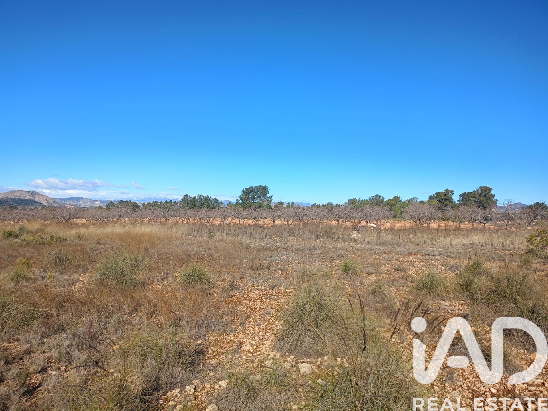 Land plot in Lorca, Murcia, Spain 11000 sq.m. No. 188453