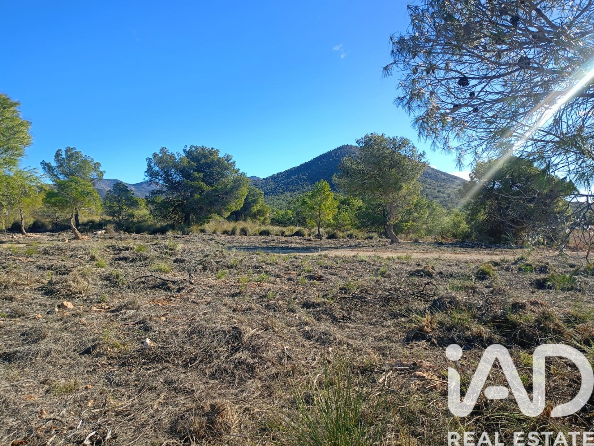 Land plot in Lorca, Murcia, Spain 11000 sq.m. No. 188453