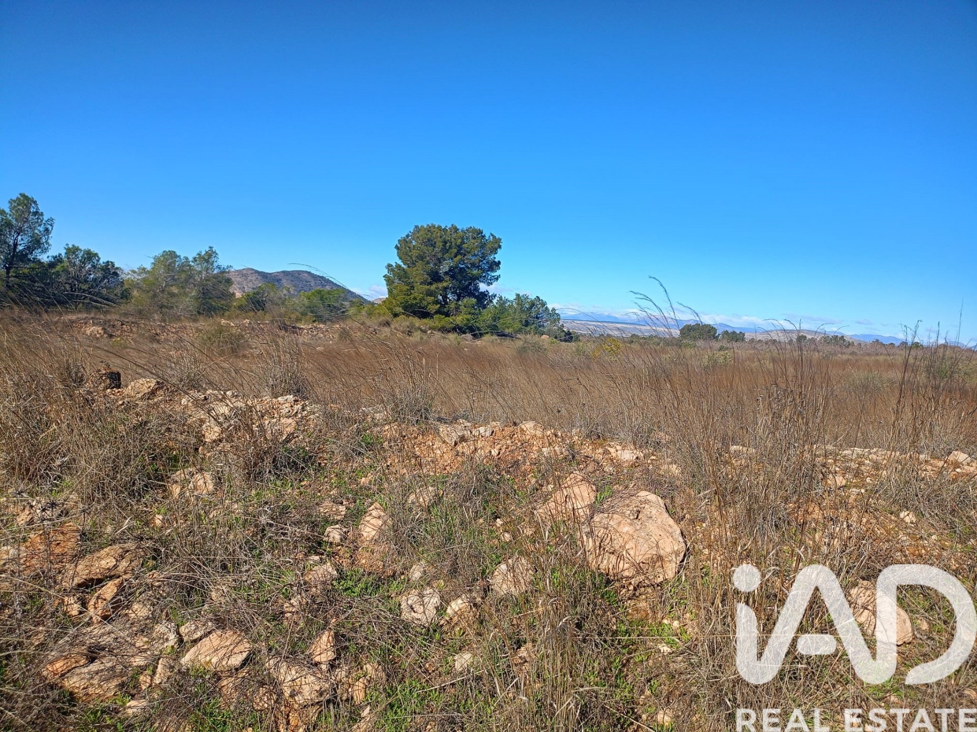 Land plot in Lorca, Murcia, Spain 11000 sq.m. No. 188453