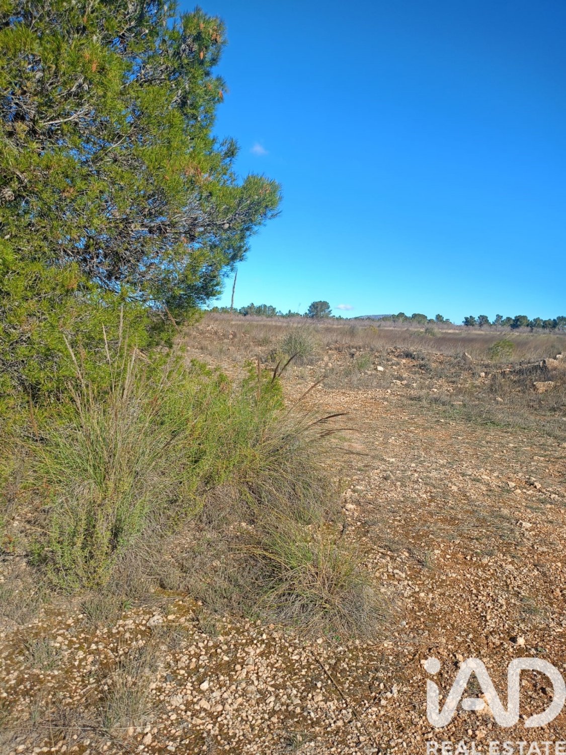 Land plot in Lorca, Murcia, Spain 11000 sq.m. No. 188453