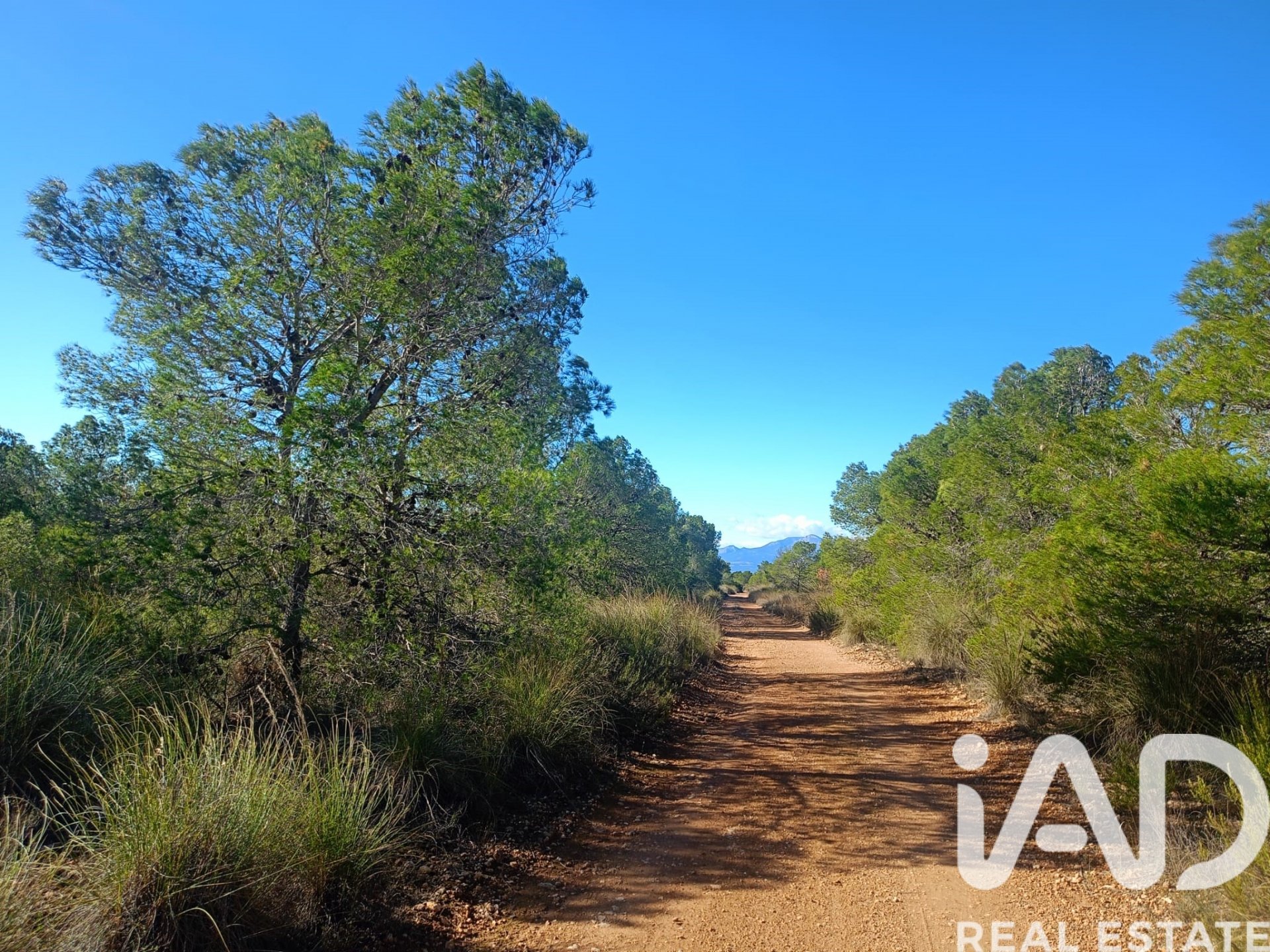 Land plot in Lorca, Murcia, Spain 11000 sq.m. No. 188453