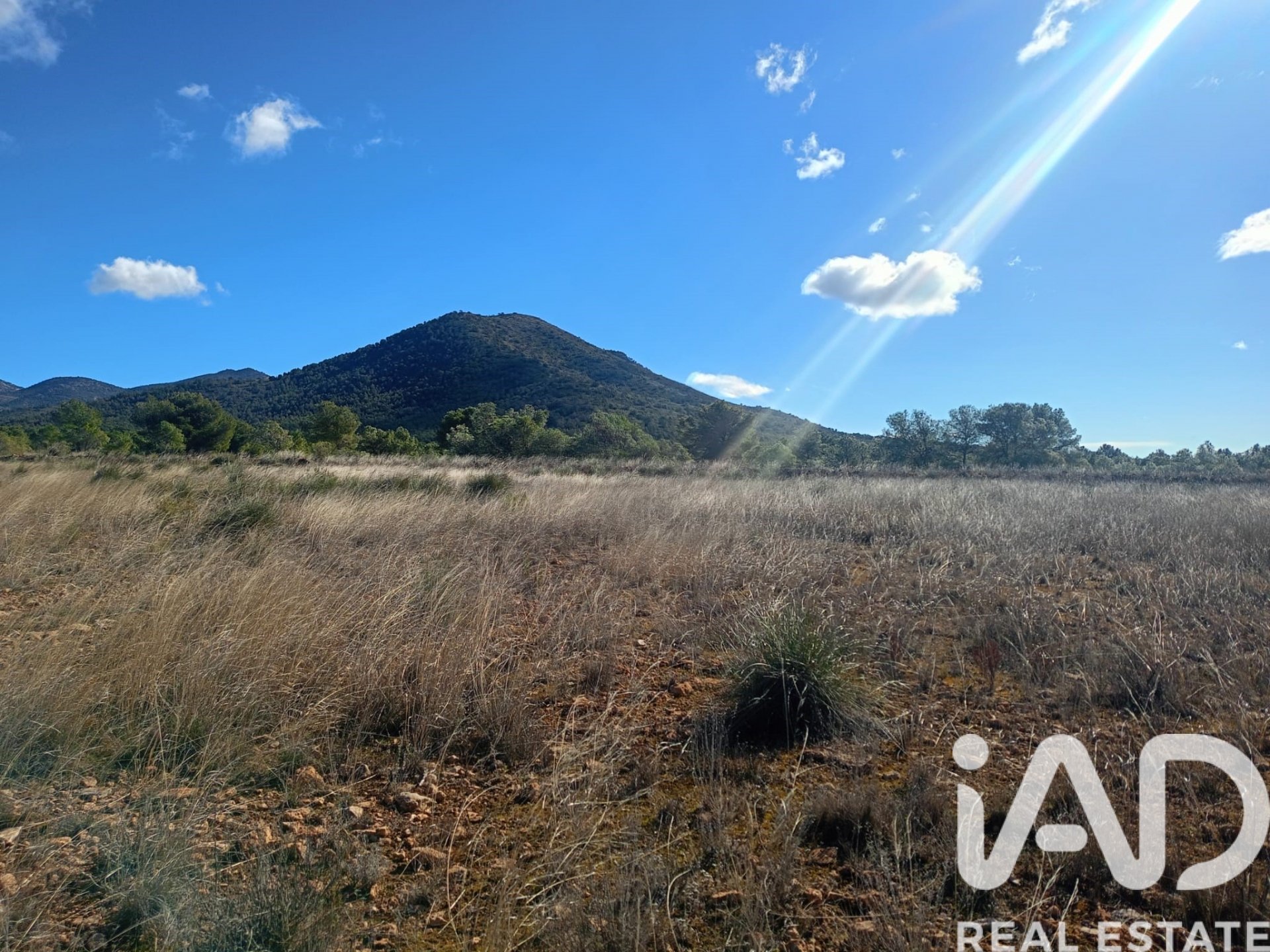 Land plot in Lorca, Murcia, Spain 11000 sq.m. No. 188453