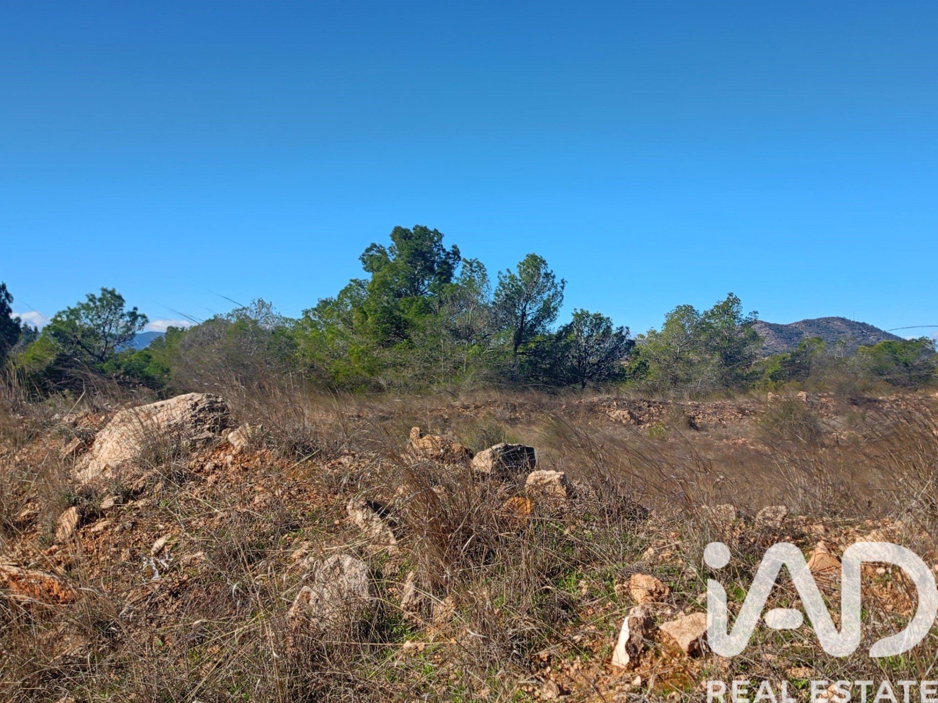 Land plot in Lorca, Murcia, Spain 11000 sq.m. No. 188453