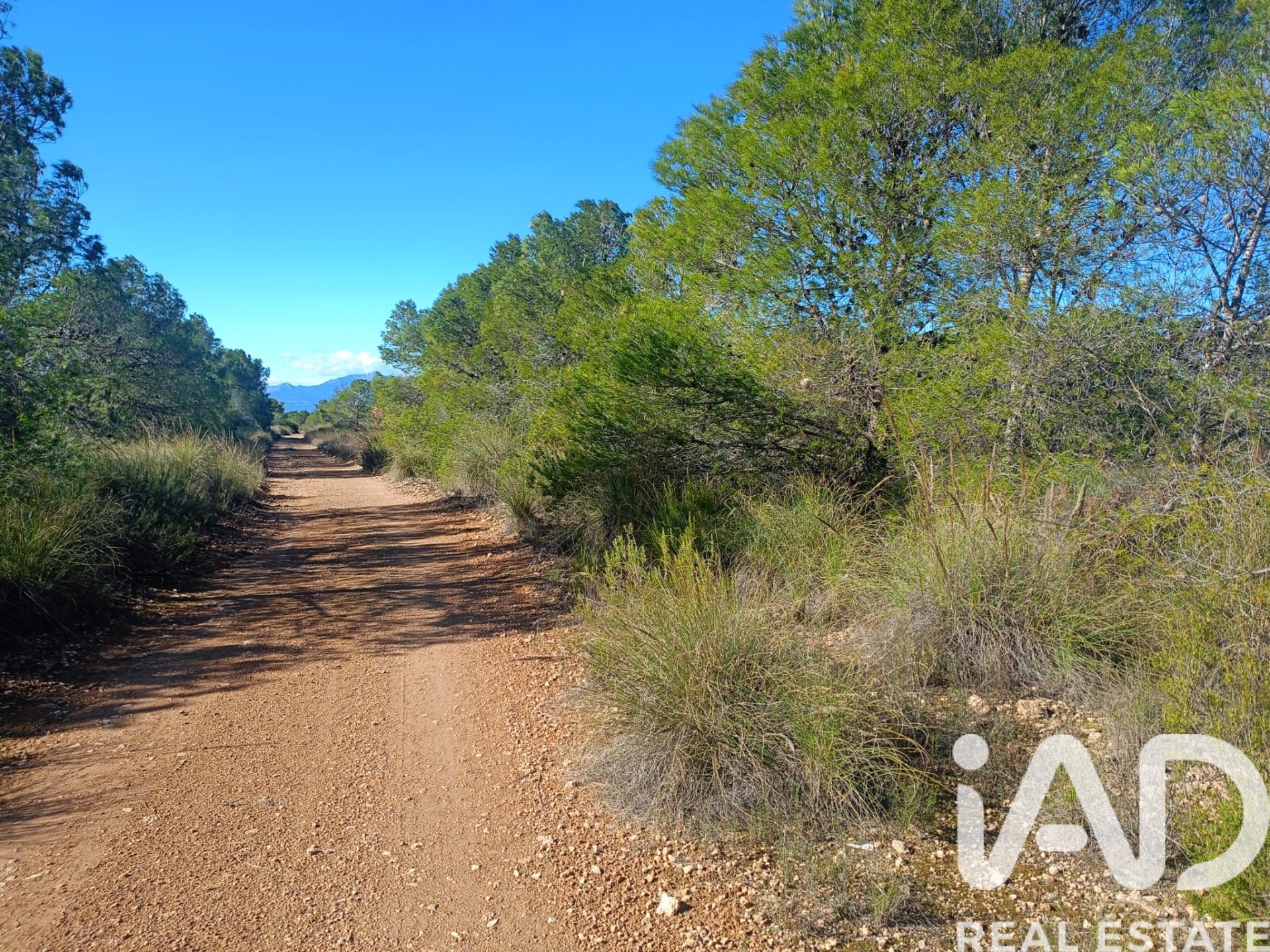 Land plot in Lorca, Murcia, Spain 11000 sq.m. No. 188453