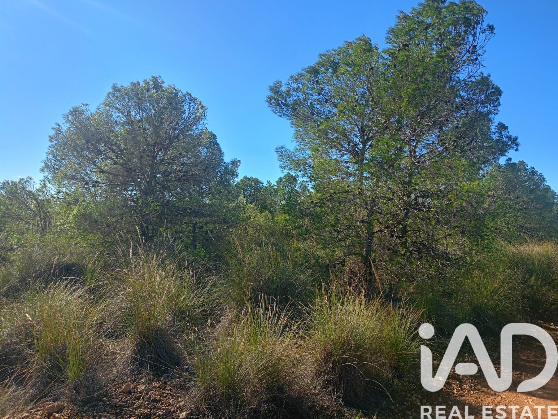 Land plot in Lorca, Murcia, Spain 11000 sq.m. No. 188453