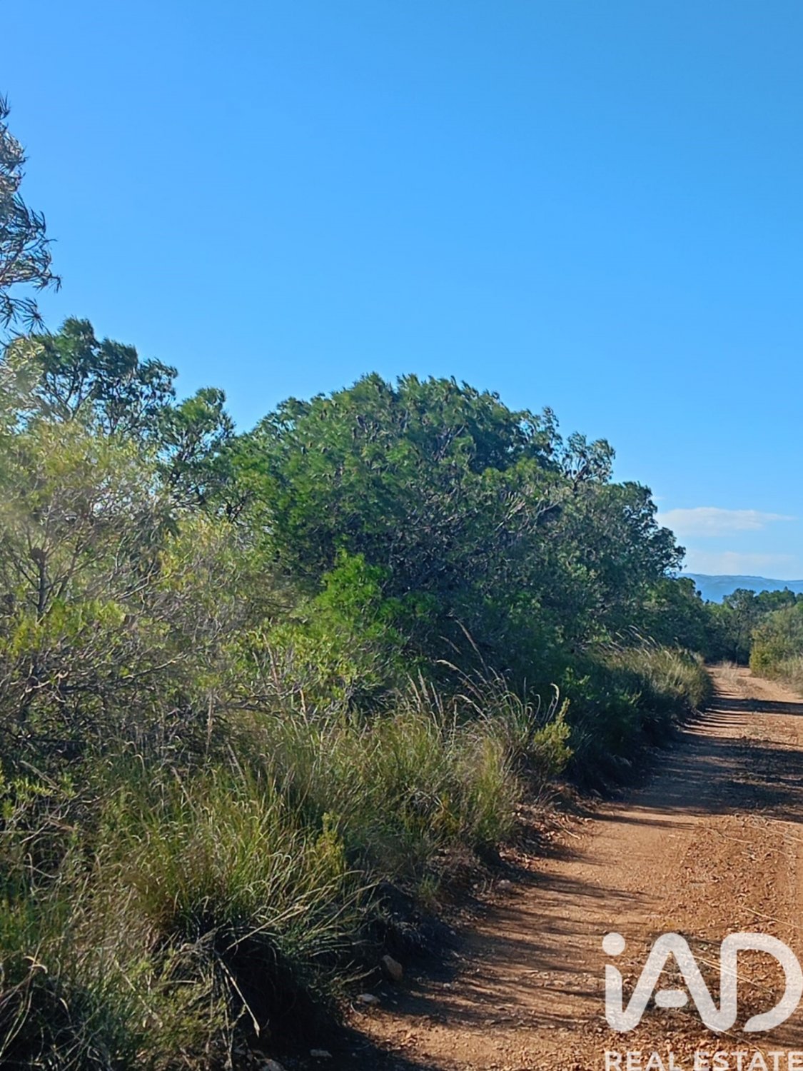 Land plot in Lorca, Murcia, Spain 11000 sq.m. No. 188453