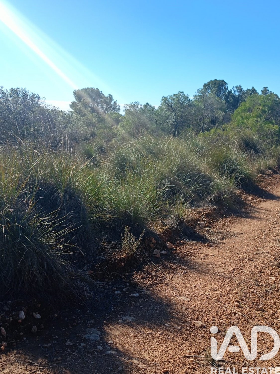 Land plot in Lorca, Murcia, Spain 11000 sq.m. No. 188453