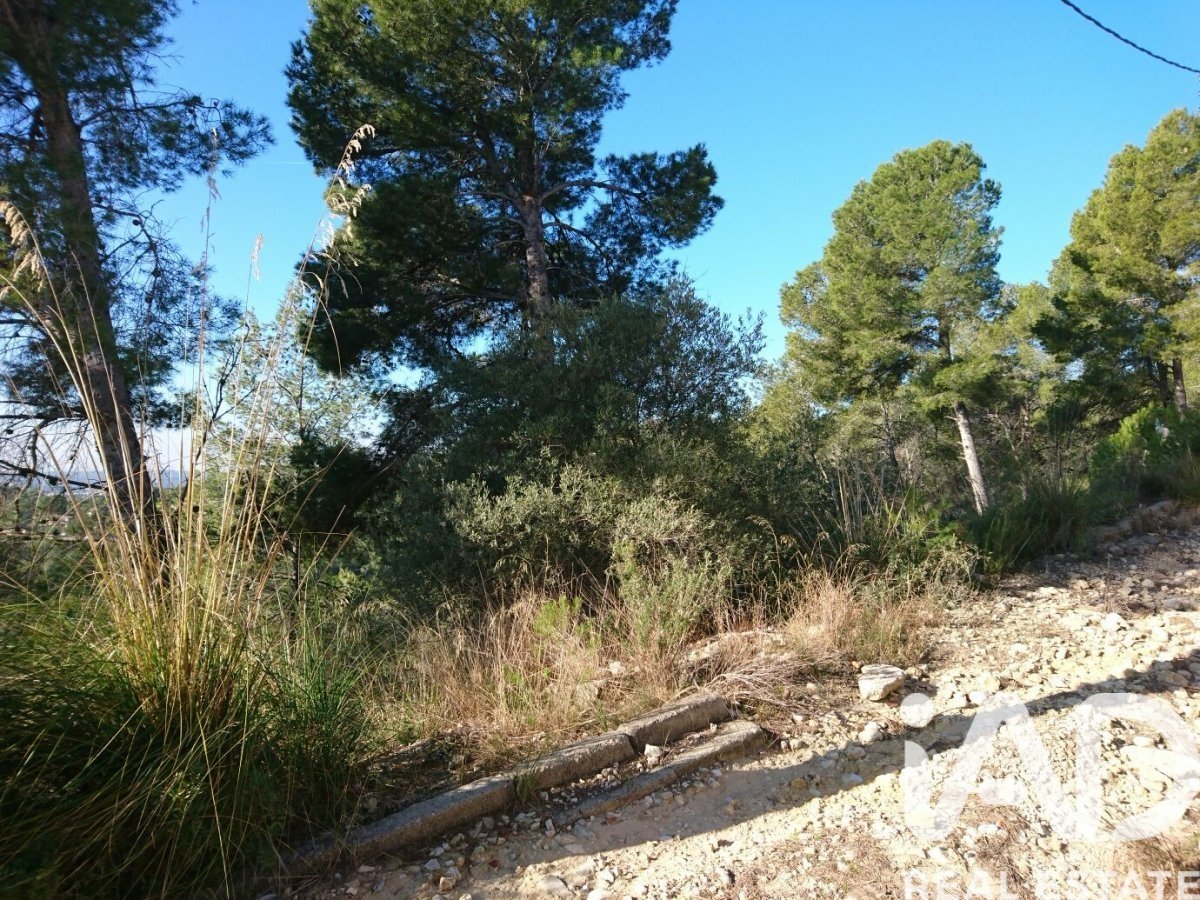 Land plot in Sant Pere de Ribes, Barcelona, Spain 339 sq.m. No. 188449