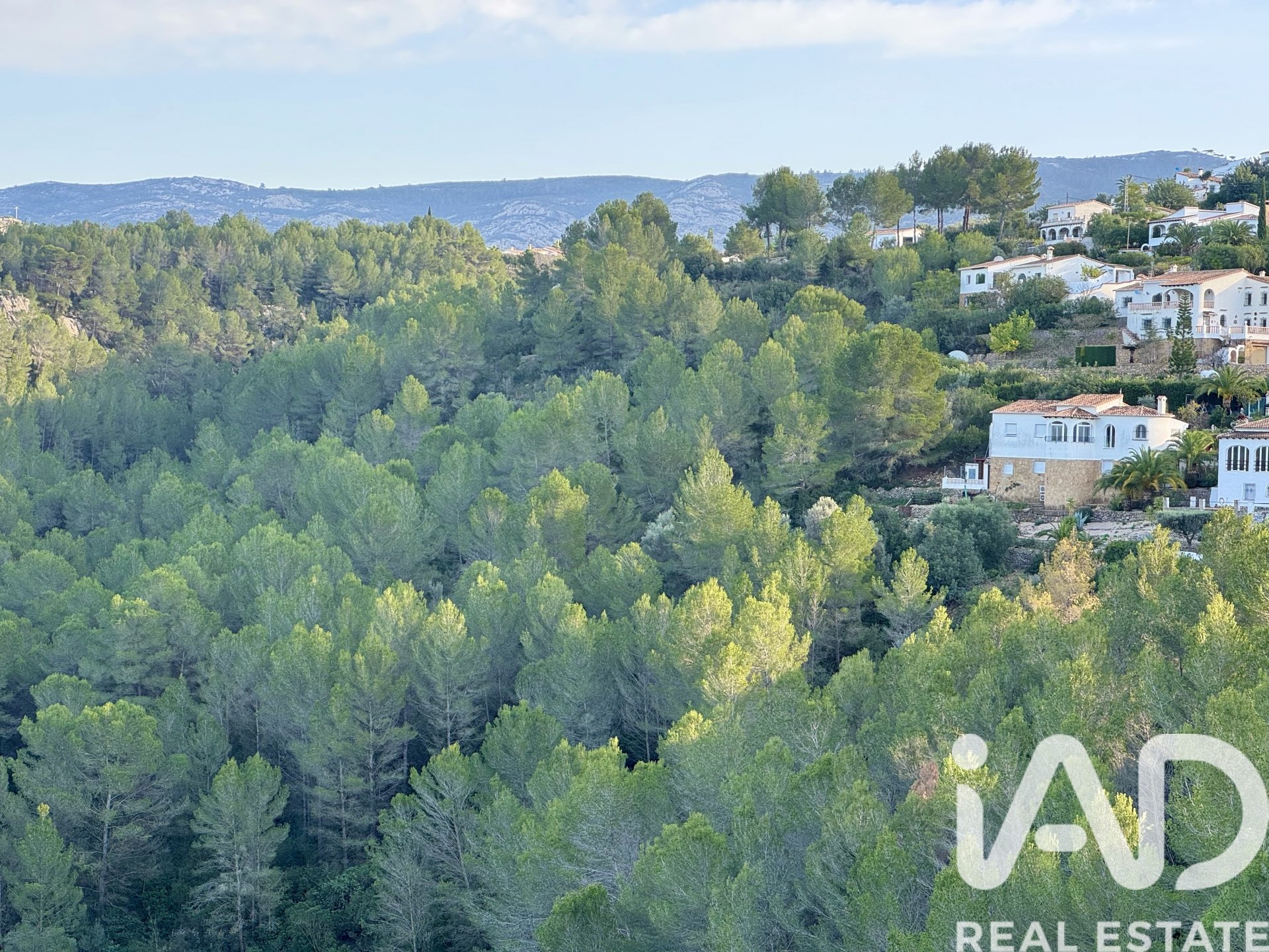 Terreno a Benidoleig, Alicante, Spagna 3282 mq. N° 185443