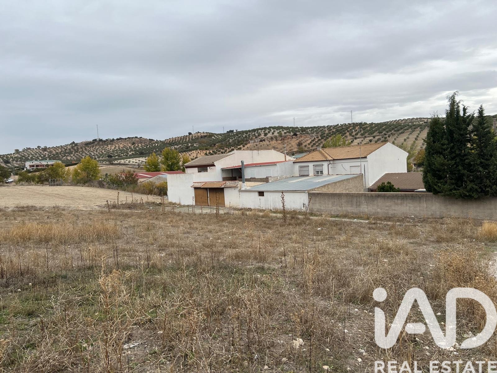 Land plot in Domingo Perez, Toledo, Spain 2471 sq.m. No. 185442