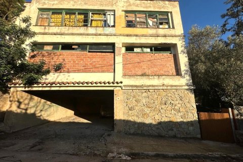 Commercial property in Arenys de Mar, Barcelona, Spain 836 sq.m. No. 196852