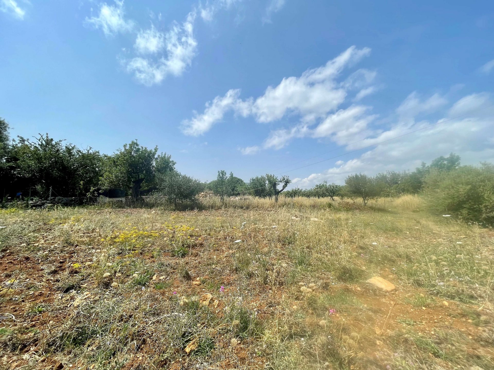 Działka w Pollenca, Mallorca, Hiszpania 14517 mkw. nr 71464