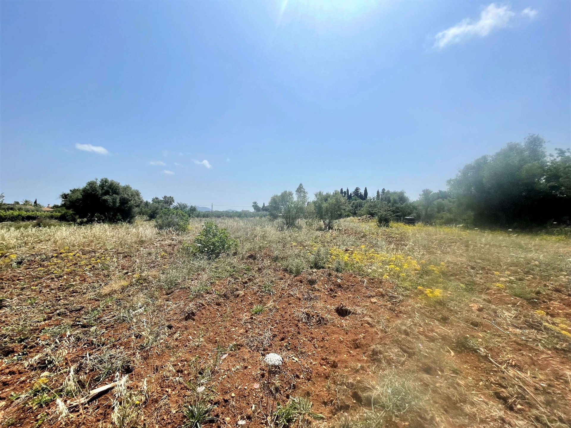 Działka w Pollenca, Mallorca, Hiszpania 14517 mkw. nr 71464