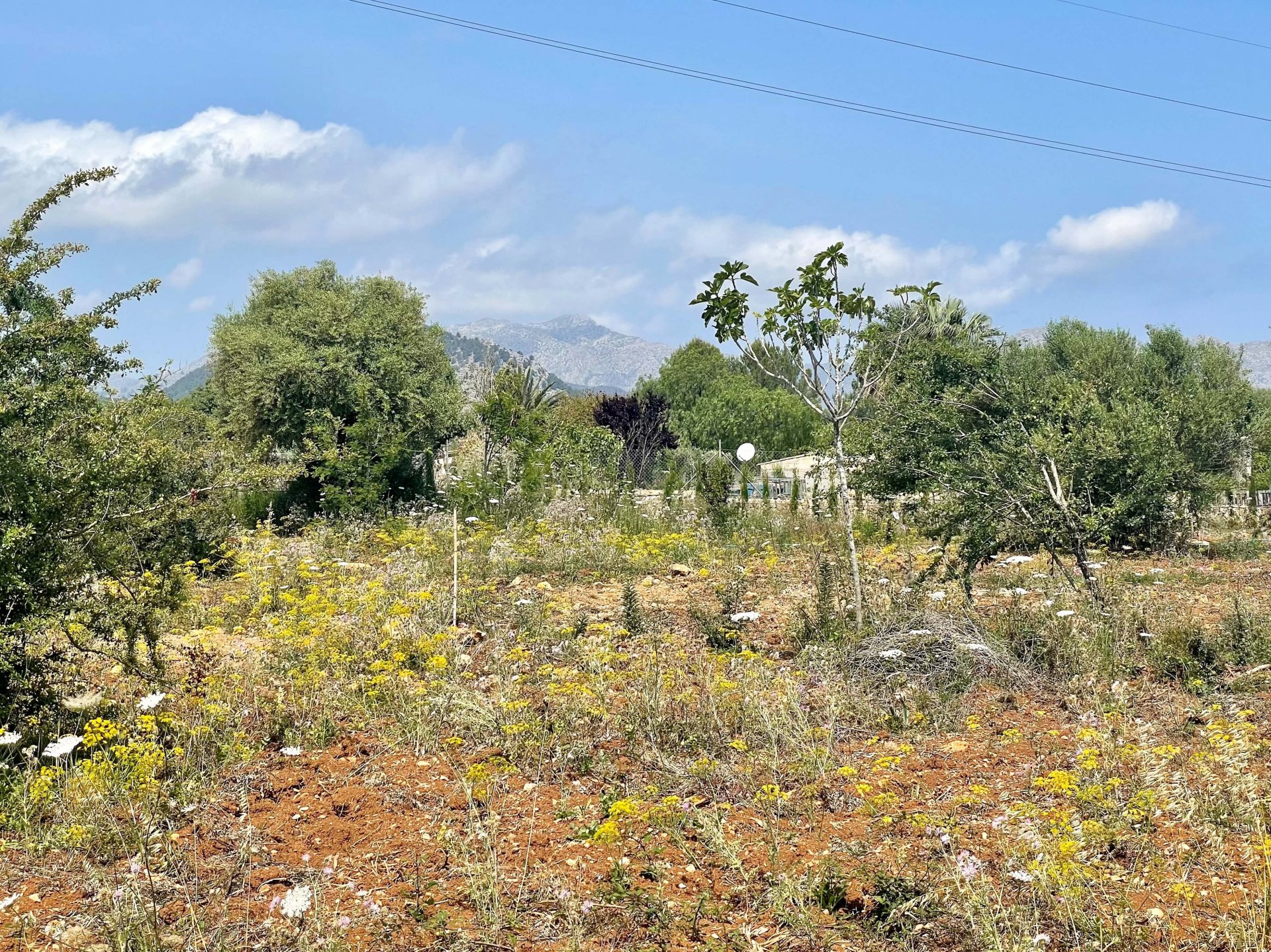 Działka w Pollenca, Mallorca, Hiszpania 14517 mkw. nr 71464