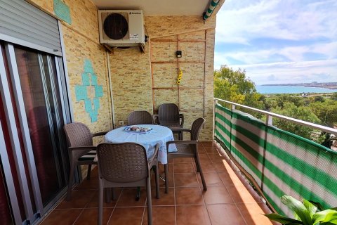 Apartment à Torrevieja, Alicante, Espagne 2 chambres, 65 m2 No. 165928