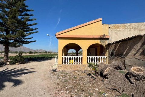Finca en Cox, Alicante, España 2 dormitorios, 100 m2 No. 189740
