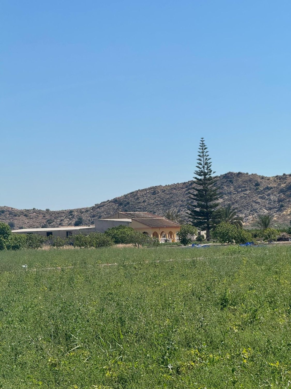 Finca en Cox, Alicante, España 2 dormitorios, 100 m2 No. 189740