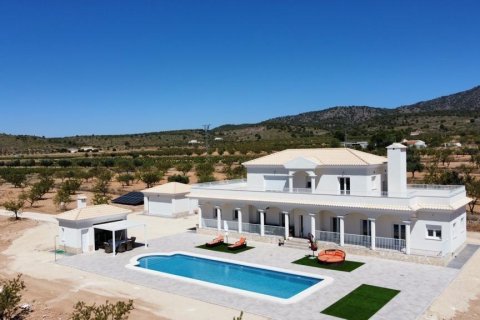Villa in Pinoso, Alicante, Spanien 6 Schlafzimmer, 270 m2 Nr. 142337
