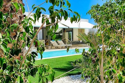 Villa in Dehesa De Campoamor, Alicante, Spanien 4 Schlafzimmer,  Nr. 133297