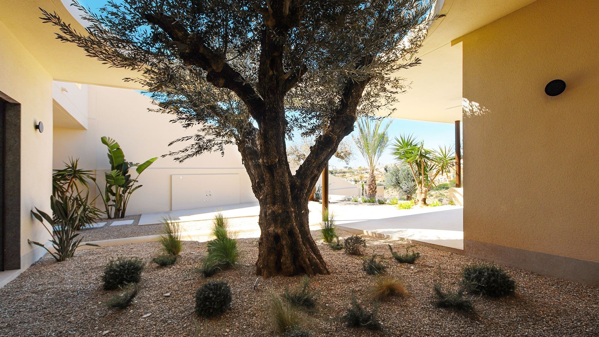 Villa i La Marina, Alicante, Spanien 4 sovrum, 305 kvm. Nr. 179489