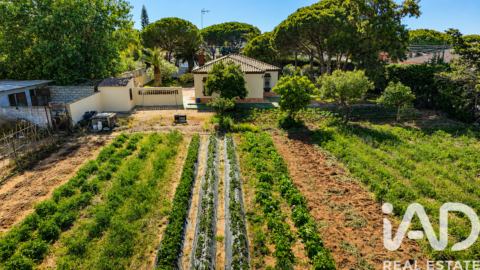 Māja Chiclana de la Frontera, Cadiz, Spānijā 3 istabas, 105 m2 Nr. 173137